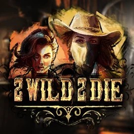 Slots logo of 2 Wild 2 Die from Hacksaw Gaming at Boomerang Casino