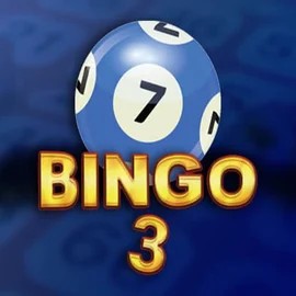 Bingo 3