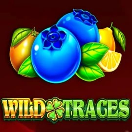 Play Wild Traces slot by Amusnet Interactive on boomerangkazino.com